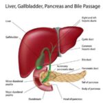 Best Hepato-Pancreatic-Biliary (HPB) Surgeon in Pune | Dr. Samrat Jankar